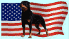 Rott-n-Chatter, Courtesy of TheDogPlace.org Double-Chain-Link