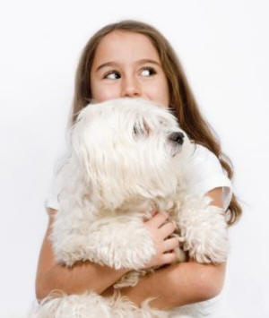 Families want cute, easy care, healthy dogs for pets, not extreme in any way