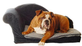 PRO BREEDERS OUTNUMBER PUPPY MILLS!