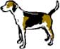 Hound