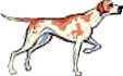 pointer