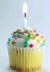 HAPPY BIRTHDAY ROBERT SHARP from THEDOGPLACE