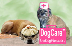 CANINE HEALTH INFORMATION