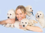 Genetic canine health is important!