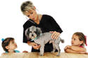 People share many canine health problems with their pets