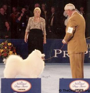 Group Judge Beverly Vics Judges at National Specialties