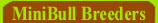 Miniature Bull Terrier BREEDERS | Miniature Bull Terrier Breed Standards, Top Miniature Bull Terrier breeder, Quality Miniature Bull Terrier puppies, Miniature Bull Terrier breeding program, Miniature Bull Terrier Breeders, Miniature Bull Terrier puppy, Miniature Bull Terrier litter