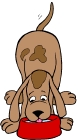 Eating Dog