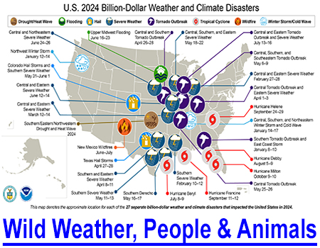 WILD WEATHER, PEOPLE AND ANIMALS: Hurricane Helene killed 200+ Americans and countless animals, now snow in New Orleans! Be prepared and share your wild weather preparation tips for the next edition!