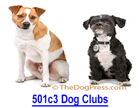 501c3 DOG CLUBS: When a dog club chooses to convert to a tax exempt charity, unforeseen effects can destroy the club’s purpose and the preservation of purebred dogs.