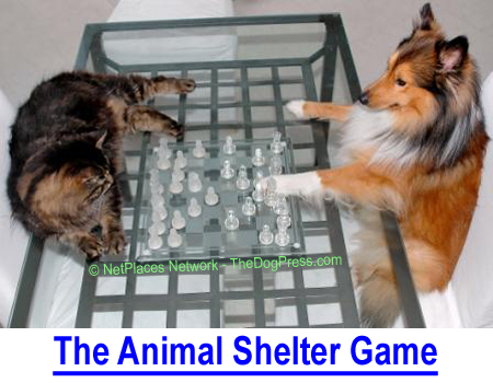 THE ANIMAL SHELTER GAME: Animal Shelters, Rescues and Animal Control have a plan...
