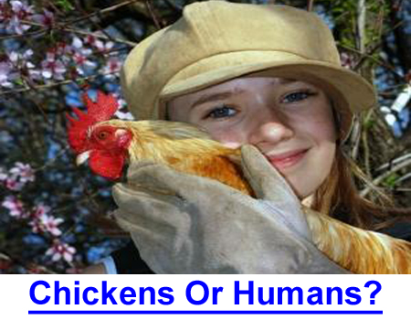 ANIMAL LAW DISCRIMINATION: Legal discrimination is killing a chicken for food but Animal Rights legislation, discriminates by breed, species, or purpose. It must be stopped before HUMAN rights are gone.