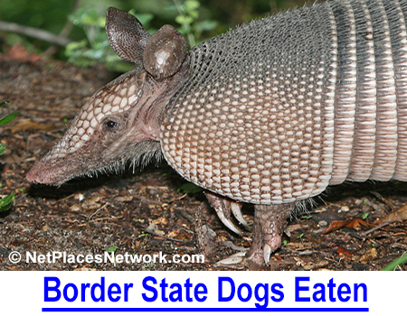 Border State Dogs Eaten: I�ve served in countries where people eat dogs but never thought it would show up in state police reports. This is enough to turn a dog lover�s stomach!