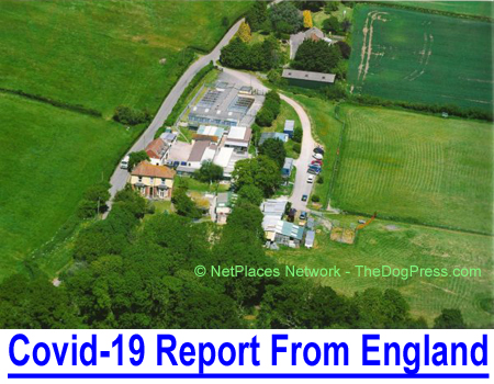 COVID-19 REPORT FROM ENGLAND: Int'l judge-owner of premier import-export-boarding kennels reports dog shows cancelled and U.K. losses equal to American businesses and dog owners.