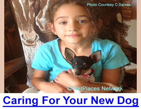 CARING FOR YOUR NEW DOG: Dr. Lee helps you care for your dog with easy but important advice starting with the dog’s place and space in your home, and advice on feeding your new dog.