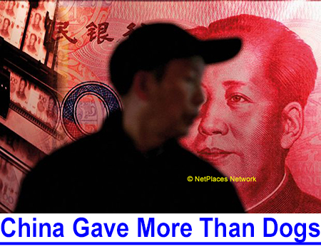 CHINA GAVE US MORE THAN DOGS: We love Chinese dog breeds and cuisine but not COVID-19 from the Wuhan lab! Why are news outlets just now covering what TheDogPress reported over a year ago.