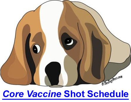 CORE VACCINE SHOT SCHEDULE: Dr. Vargus on core vs. non-core vaccines and booster shots.