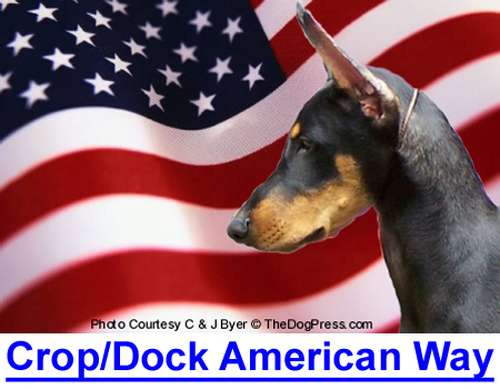 CROP & DOCK THE AMERICAN WAY: Today even the right to own certain breeds is under challenge.