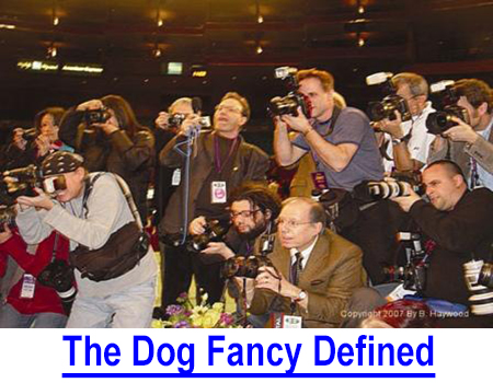 THE DOG FANCY DEFINED: A top university professor asked us to define The Fancy as a career choice, noting dog breeders, dog show judges and exhibitors pump $millions into the economy.