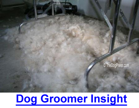 DOG GROOMER INSIGHT: A humorous but factual day in the life of a professional groomer, it's the second most dangerous doggy profession!