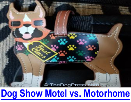 DOG SHOWS, MOTEL vs. MOTORHOME: Dog show exhibitor weighs motel rates and convenience against motor home cost and upkeep.