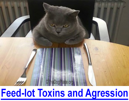FEED-LOT TOXIN CAUSES AGGRESSION - Pet and people aggression... Poultry and meat industries were rescued from ractopamine but pet owners are still getting a lot of dumped meat and poultry!
