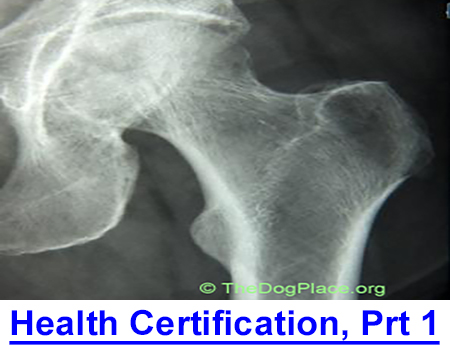 HEALTH CERTIFICATION, PART 1: The SICK truth behind decades of failure to require permanent I.D. on dogs tested for any health certification is the worst genetic fraud affecting dogs today!