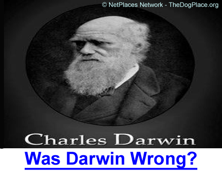 HEREDITY: WAS DARWIN WRONG?: Heredity controls the way genes combine in canines too!