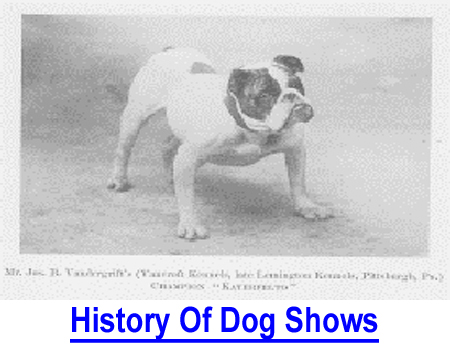 HISTORY OF DOG SHOWS: The Kennel Club (United Kingdom) was founded in 1873 after the first official dog show in 1859; the colonials followed in 1884 by whelping the American Kennel Club.