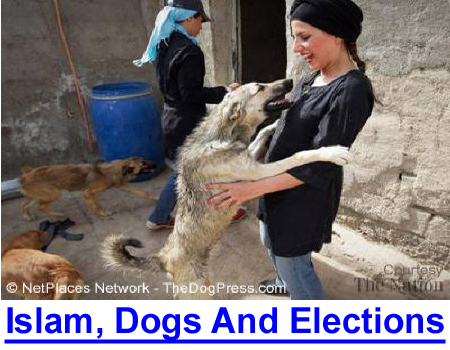 ISLAM, DOGS & ELECTIONS: Dogs are dumped because news is dominated by COVID-19, ISIS threatens and politicians lie/vie for 2020 elections.