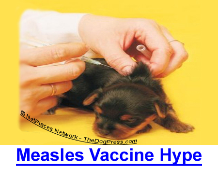 MEASLES VACCINE HYPE: Media Hype urges revaccination which assaults the undeveloped puppy immune system