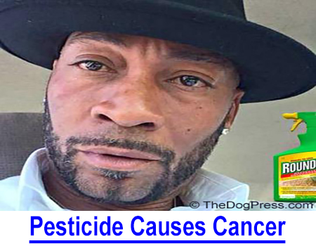 PESTICIDE CAUSES CANCER: TheDogPlace.org repeatedly warns against using Dursban flea and tick control or Roundup™ weed killer on the lawn your children and dogs play on, 2018 case proves…