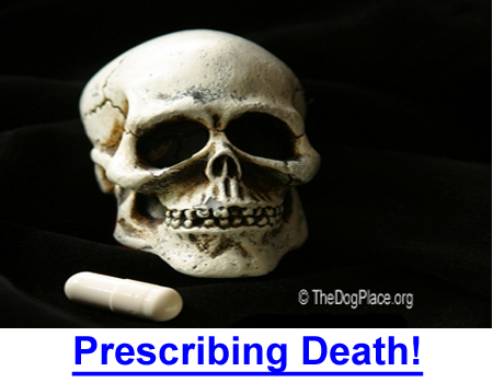 PRESCRIBING DEATH! Learn the sick truth about dog meds and human medications.