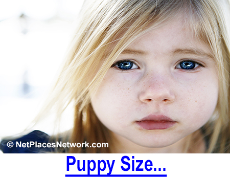 PUPPY SIZE - Repeatedly searching the animal shelter to indulge her daughter, mom finally gets it and you will too.  Smile as the tears flow...