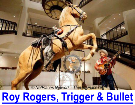 ROY ROGERS, TRIGGER AND BULLET: Saturday afternoon westerns and the best in dog/horse training, then tell us a little something.