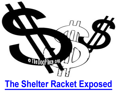 THE SHELTER RACKET EXPOSED: Shelters are busy businesses because animal rights lobbyists pass laws that force owners to give up their dogs, which if large or dark colored are then euthanized.