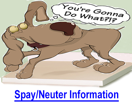 SPAY & NEUTER SECTION INFORMATION: Learn about health problems caused by the loss of vital hormones which increase the risk of bone cancer, hip dysplasia, obesity, diabetes, urinary incontinence, hypothyroidism, and more.