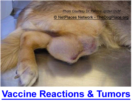 VACCINE REACTIONS: Malignant tumors and immunde system disease following rabies vaccine