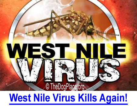 WEST NILE VIRUS KILLS AGAIN IN 2017: We thought the deadly virus was eradicated with enough mosquito spray to kill every bug on the planet but is there something more sinister to this story…?