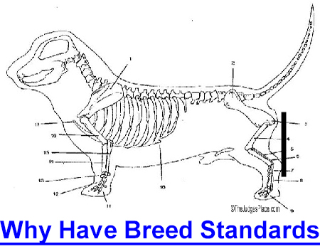 WHY HAVE BREED STANDARDS? Why do we have a breed standard and why should we breed to it? Why are there so many different types of dogs awarded under that same breed standard? AKC Group judge says it is to accommodate current trends.