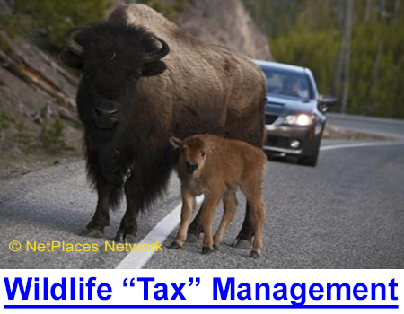 WILDLIFE "TAX" MANAGEMENT & NATIONAL PARKS: Here�s an �animal-friendly purpose� for which $billions of your money is spent. Your ruff will go up when you learn how the government �cares about� wildlife.