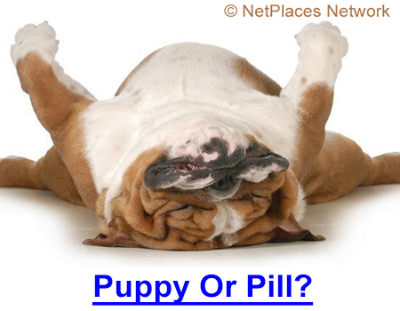 BEST ANTI-DEPRESSANT, PUPPY OR PILL? When the world seems upside-down and you need comfort, which is safer, a pill or a puppy? That�s a no-brainer for dog owners.