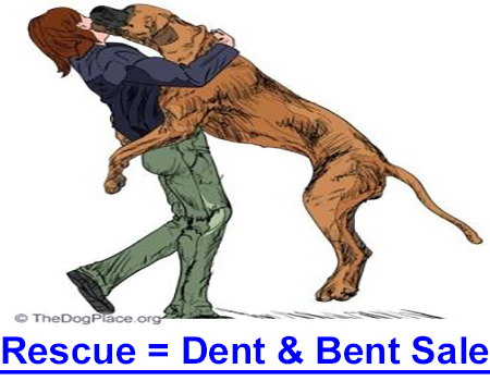 DOG RESCUE TODAY, JUST A BENT AND DENT SALE - As a retired dog trainer, I am appalled by the general public’s lack of knowledge as to dog owning.
