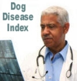 Your veterinarian knows all about disease in the canine