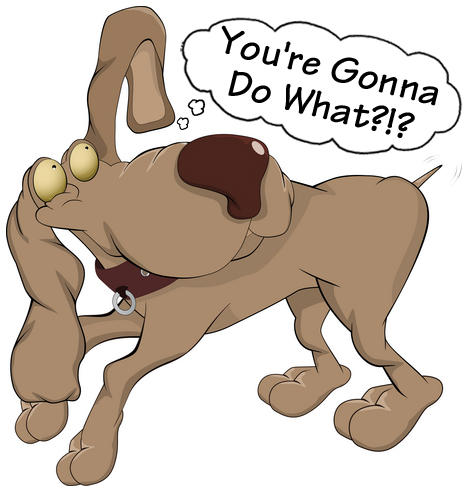 Spay & Neuter health risks are significant, spaying or neutering can cause cancer, obesity, hip dyplasia, low thyroid and other problems associated with removal of sex hormones due to being spayed or neutered