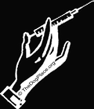 Avoidance of unnecessary vaccines is a big factor in optimum canine health