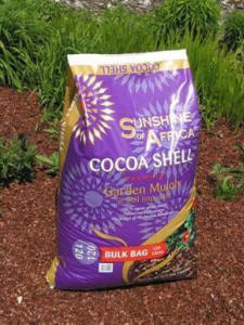 COCOA MULCH POISON TO DOGS?
