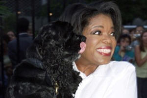 Adoptable dogs and cats die while shelters play shell games