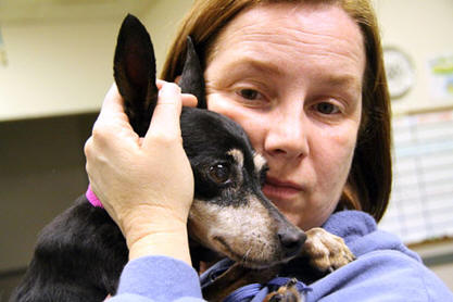 MINIATURE PINSCHER LOVED TOO LATE