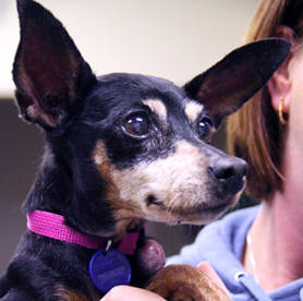 GOD LOVES THIS PRECIOUS ANGEL 